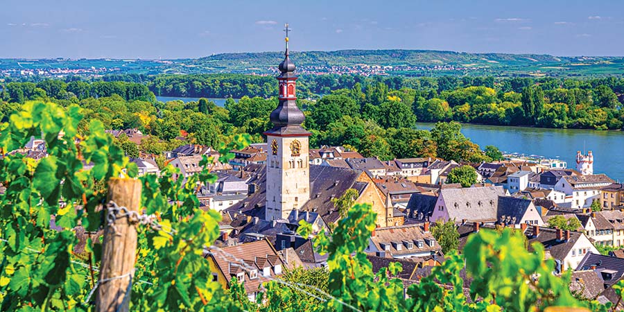 Fairytale Rüdesheim